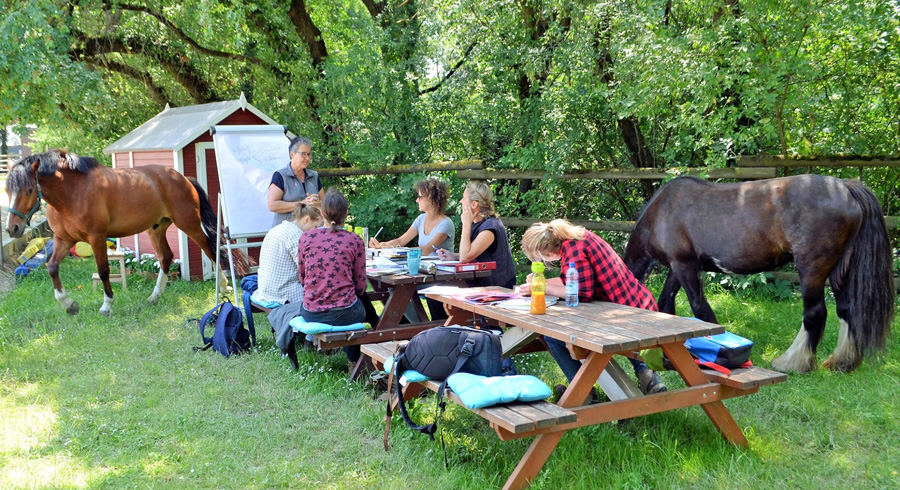 Ausbildung Pferdegestütztes Coaching Österreich - Dragahof, Niederösterreich Burgenland