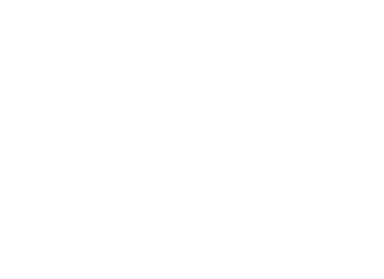 Dragahof Pferdehof Coaching Österreich