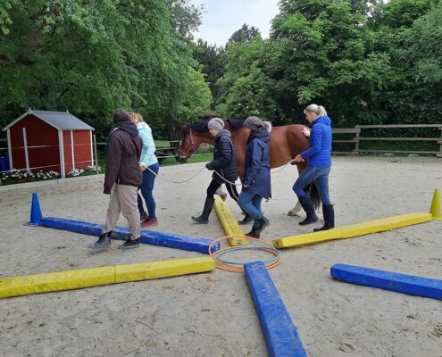 Teambuilding Mit Pferde Nähe Wien - Niederösterreich