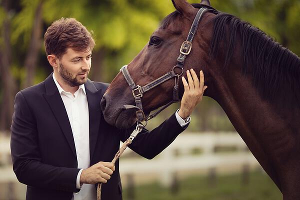 Führungskräftetraining Mit Pferd - Dragahof, Niederösterreich