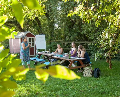 Pferdegestüztes Coaching Job - Ausbildung