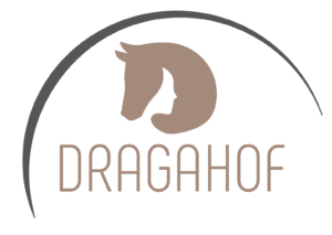 Dragahof - Pferdegestütztes Coaching NÖ / Burgenland